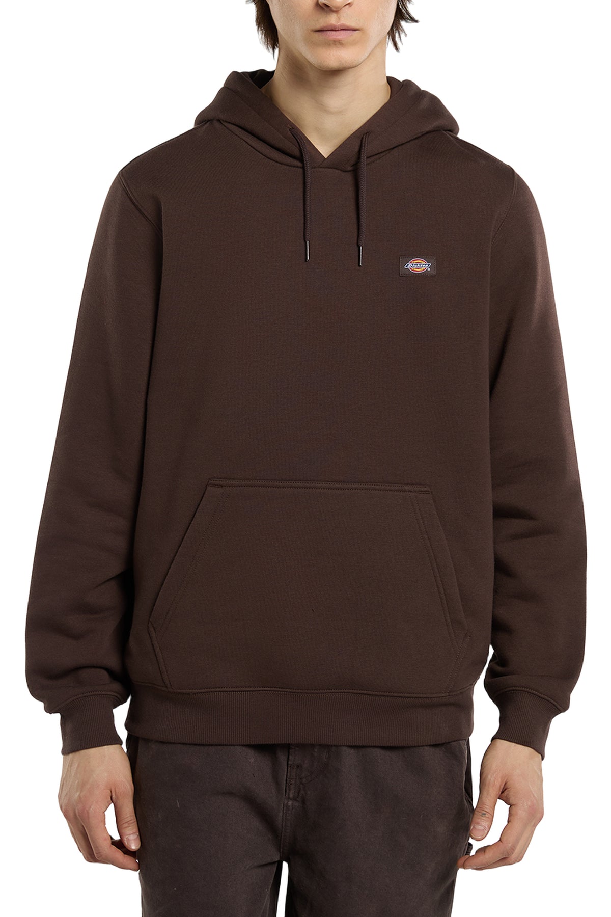 Dickies Oakport Hoodie