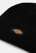 Dickies Gibsland Beanie
