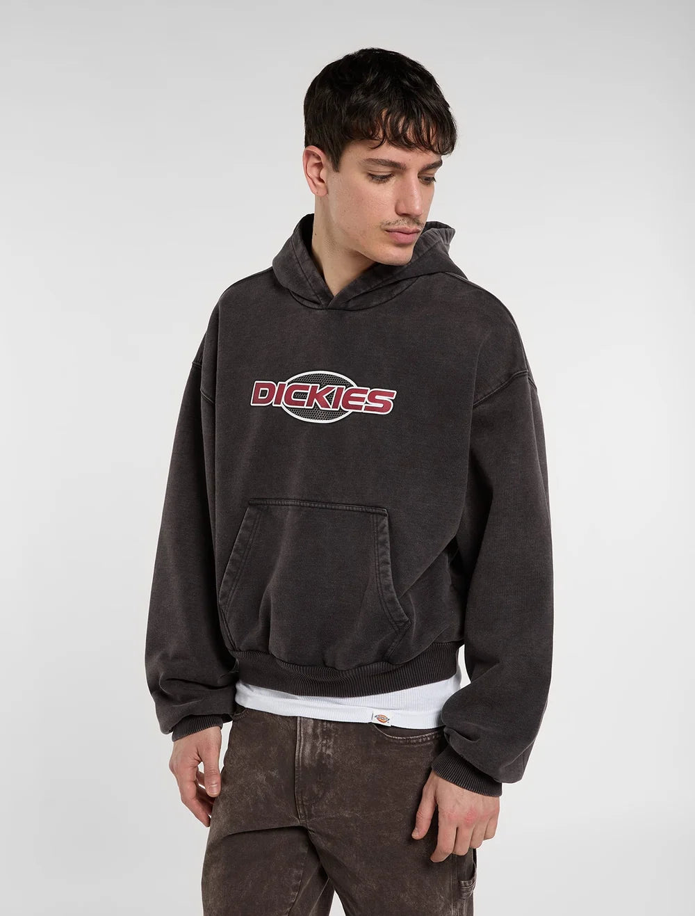 Dickies Somertone Hoodie